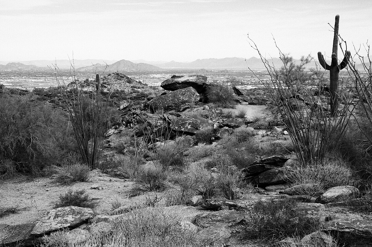 South Mountain Park desert landscape near Ahwatukee, AZ